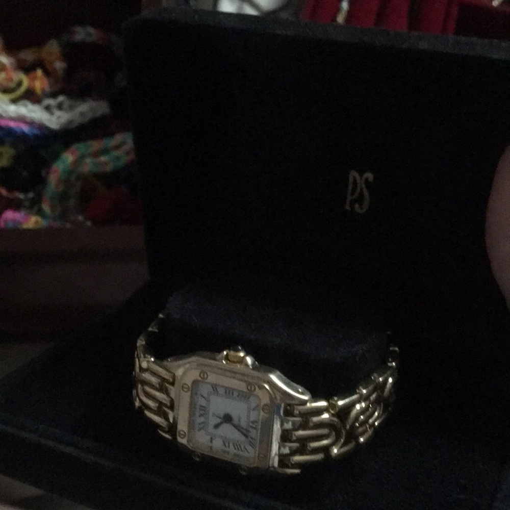 Paul Sebastian Watch